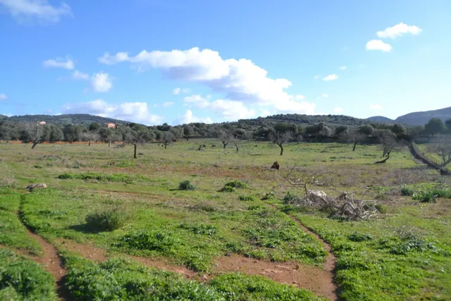 Finca rústica Manacor — 16