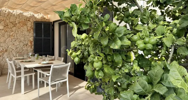 Casa pareada y moderna con piscina, jardín y vistas parciale - foto 5