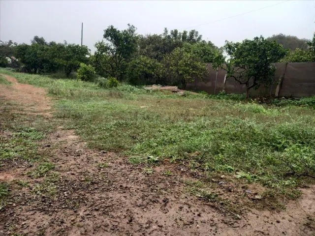 Venta finca rústica en Bollullos de la Mitación (Sevilla) - foto 5