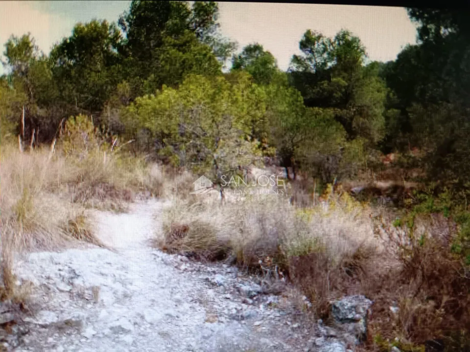 VENTA DE TERRENO EN MONOVAR, ZONA COLLADO VICTORIANO