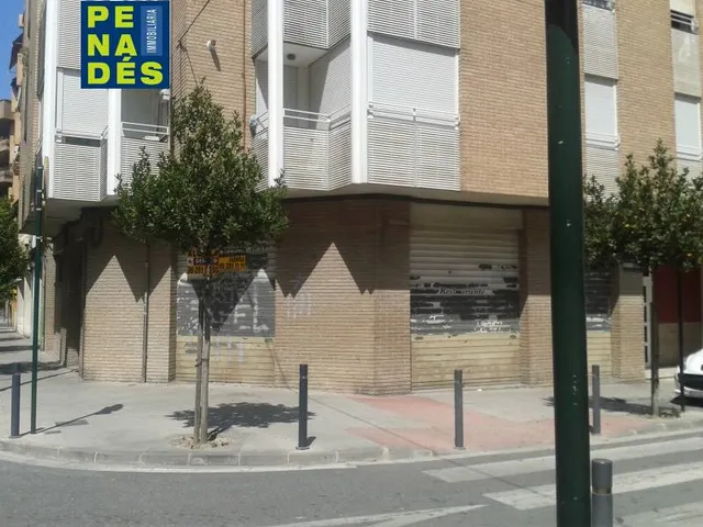 CERCA PLAZA PRINCIPAL. — 4