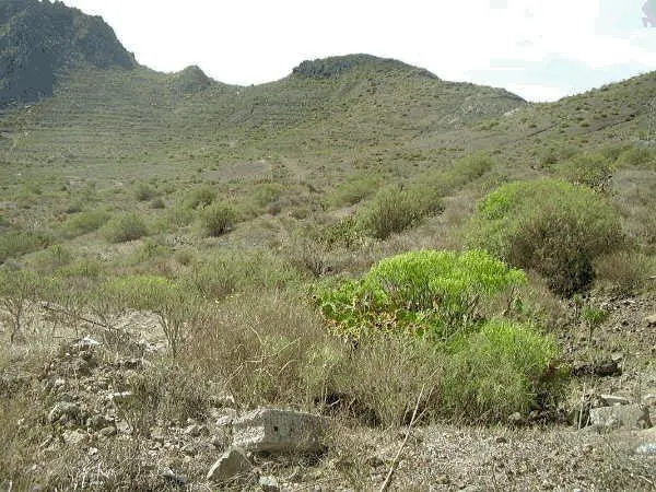 Terreno rústico en venta en Cabo Blanco