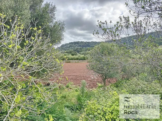 Finca Rústica en Sa Roca — 12