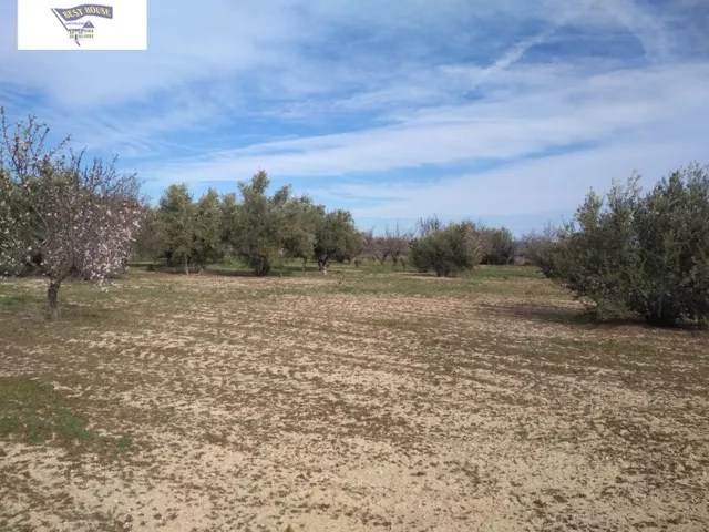 OPORTUNIDAD TERRENO CON REFUGIO EN AGULLENT/ALBAIDA — 3