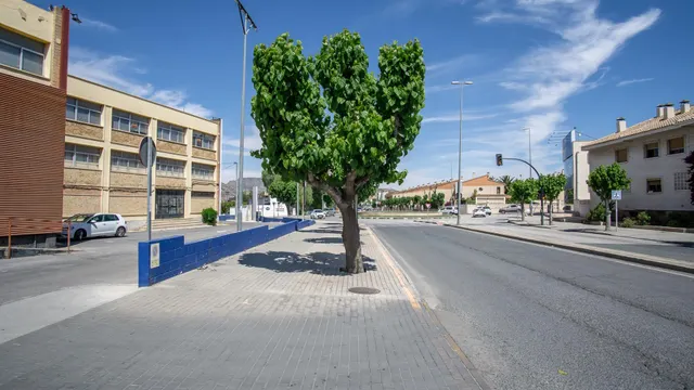 Oficinas de alquiler en zona Av. Mediterráneo — 19