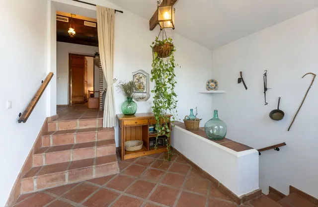 Finca rústica 4 habitaciones 316m² en venta - Costa del Sol — 5