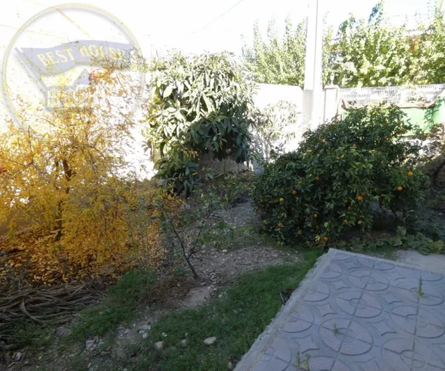 ++Chalet en Alguazas Huerta++ 340 m. de superficie, 709 parcela — 5