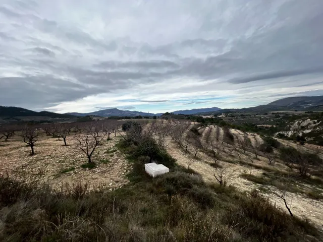 Finca rústica en Penáguila, Alicante. — 47