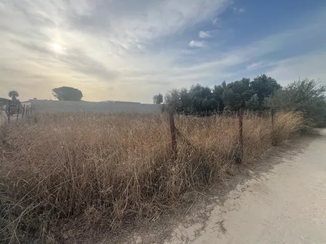 Parcela en Venta en la Zona de la Carretera de Fuente Amarga (800 m2) — 4
