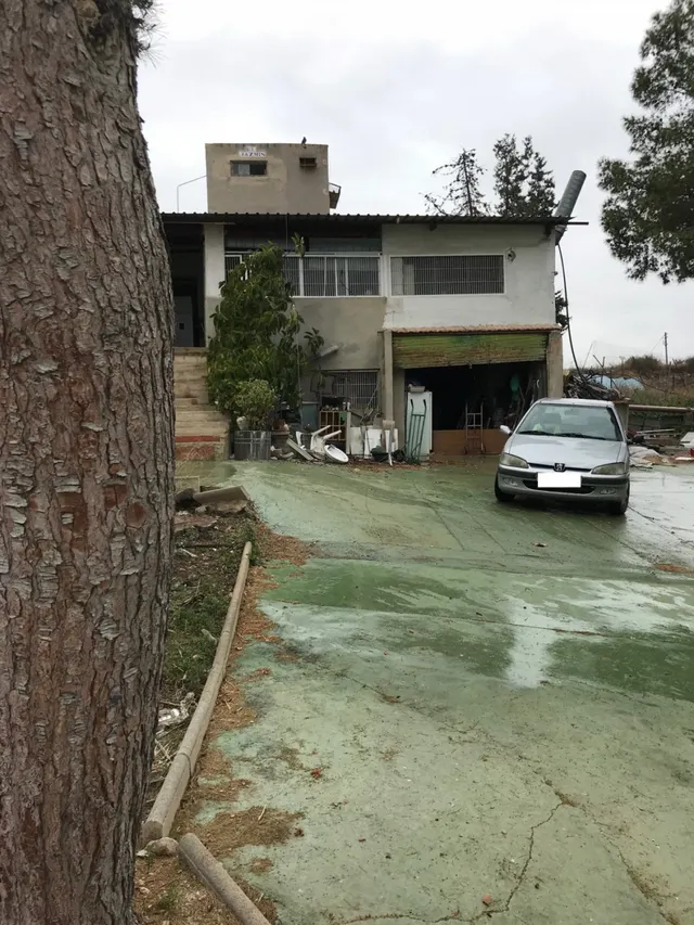 Terreno urbano con casa y pinada en San Vicente del Raspeig — 4