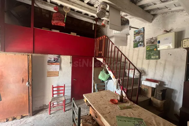 Finca rústica con caseta y almacén en El Perello - foto 3
