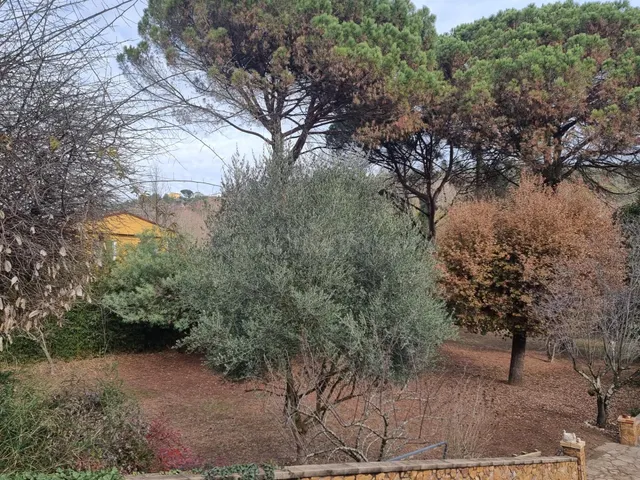 Parcela totalmente plana - foto 5