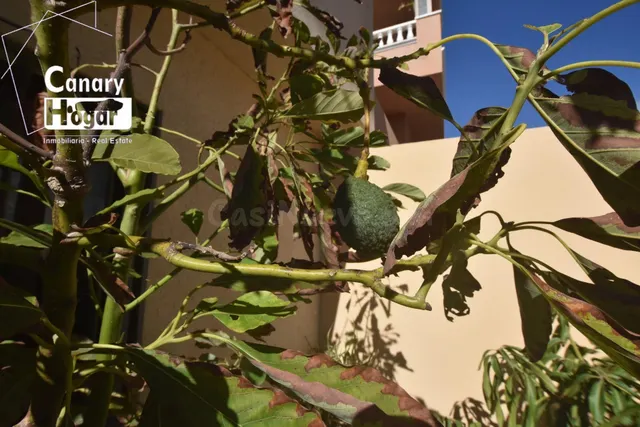 ADOSADO DUPLEX en alquiler de corta Temporada en El Medano - foto 4