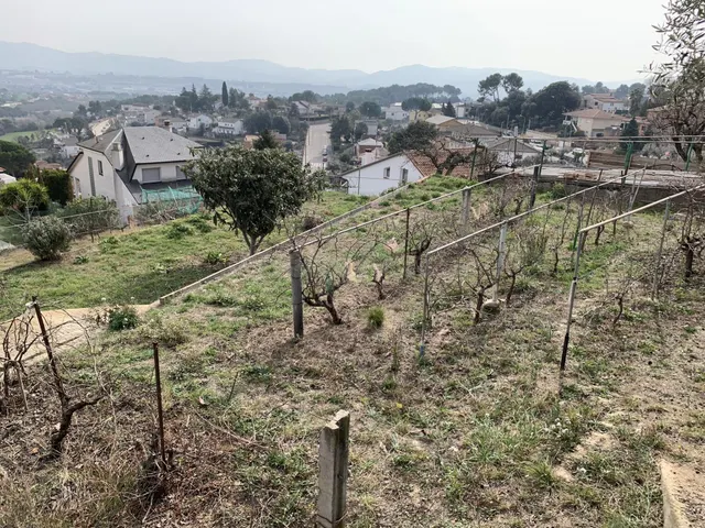 Parcela Exclusiva en Urbanización Mas Gordi - Oportunidad Ún - foto 5