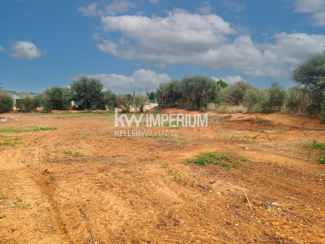 Terreno de media hectárea edificable para inversión - foto 2