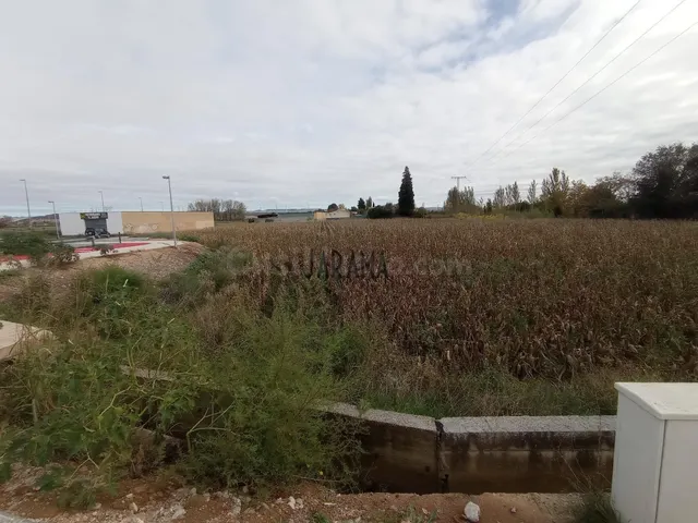 TERRENO RUSTICO A LA VENTA EN AVENIDA TUDELA FONTELLAS