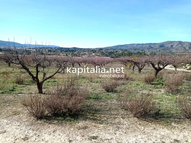 PARCELAS A LA VENTA EN LOS TERMINOS DE ONTINYENT Y AGULLENT, ZONA CALS XOPS Y CAL CANONGE — 2