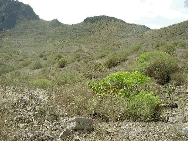Terreno rústico en venta en Cabo Blanco