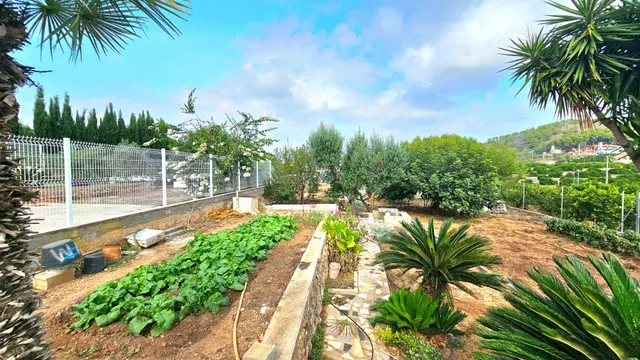 Encanto rural, tranquilidad y naturaleza en Les Coves (Corbera) — 15