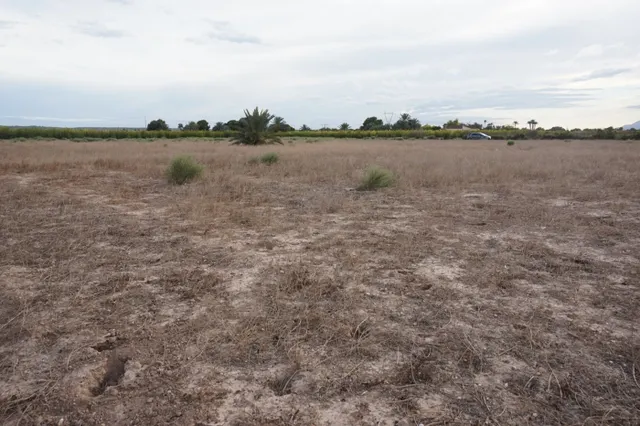 AMPLIA PARCELA DE 13000 M2 ZONA DE LA HOYA — 15