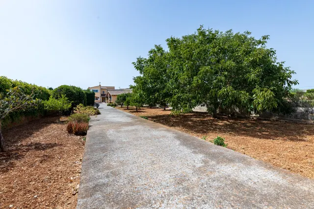 Chalet en venta en Algaida — 42