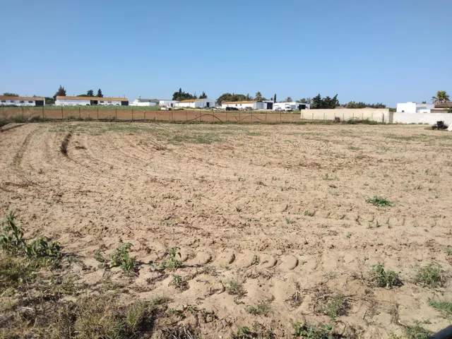 PARCELA INDIVISA DE 3.000M2 EN PAGO DE HUMO - foto 3