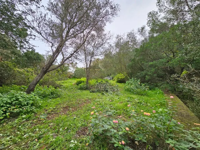 Terreno en venta cerca del Montgó — 5