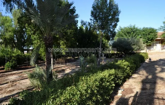 Excelente Finca con caballerizas en El Palmar (Murcia) - foto 4