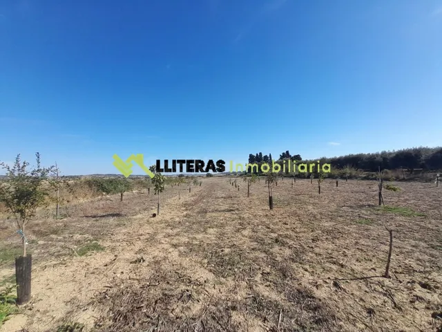 Finca rústica en María de la Salut con pozo- Naturaleza, tra - foto 4