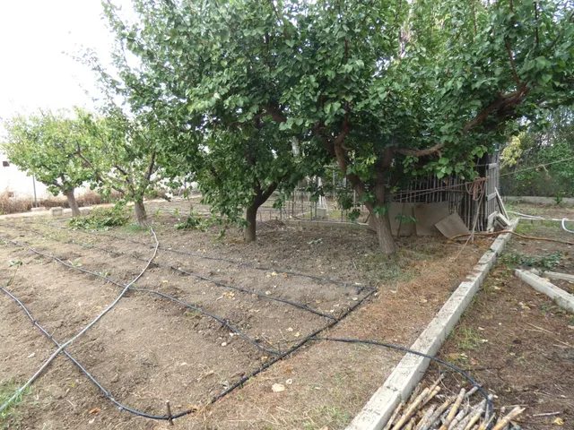 +Oportunidad Única: Casa para Reformar en Entorno Rural y Ecológico+ — 14