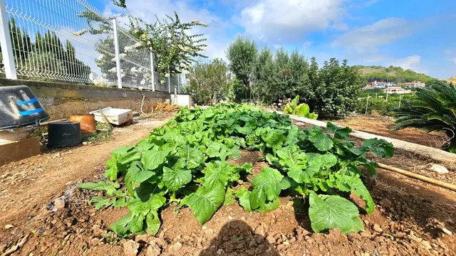 Encanto rural, tranquilidad y naturaleza en Les Coves (Corbera) — 17