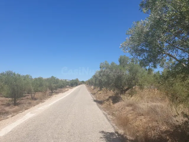 Rústico de ensueño en Biar, Comunidad Valenciana