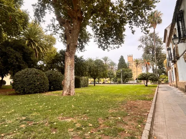 PRECIOSO APARTAMENTO CON PLAZA DE GARAJE EN SAN BASILIO!!!! — 20