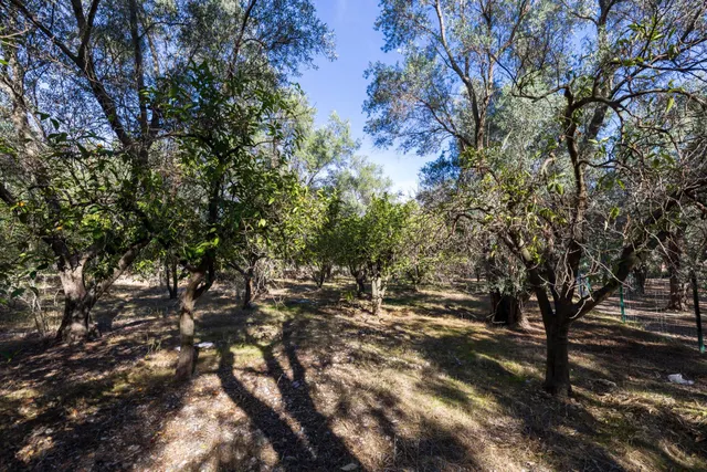 FINCA RUSTICA EN LA VEGUETA, PINOS DEL VALLE!! — 12