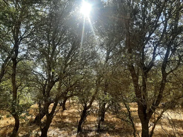 Parcela en venta en el pantano de Valdesalor