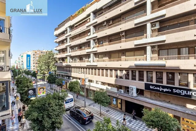 GRAN PISO EN CALLE RECOGIDAS — 28