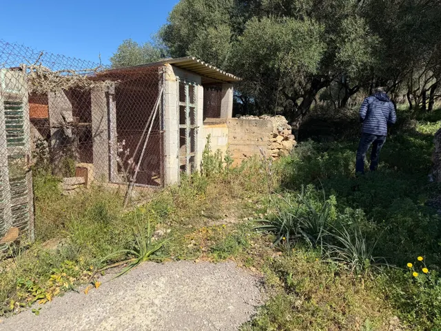 Finca rústica de 25.574 m2 con proyecto de vivienda y piscin - foto 3
