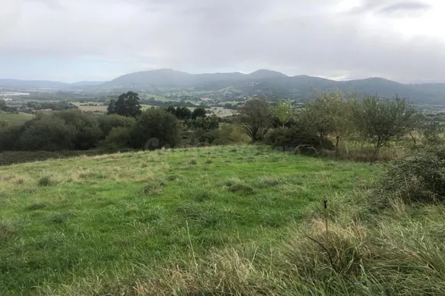 Finca rústica en venta - Revilla - foto 3