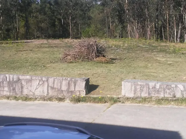 Vendo Terreno para Huerto, Finca de Recreo cerca de Tomiño