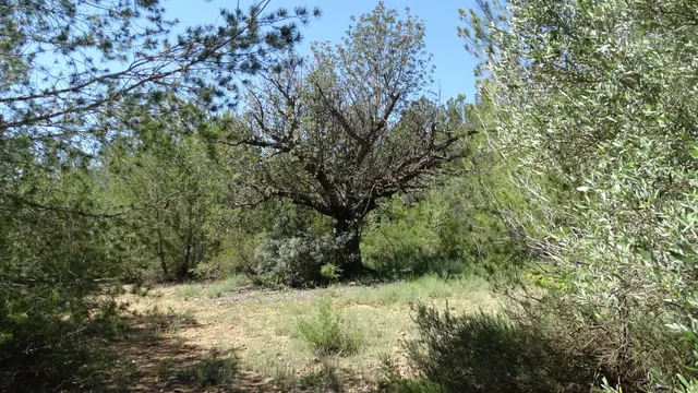 Terreno en venta en Vilamarxant — 16