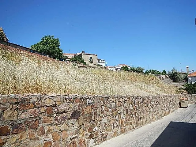 Gran parcela