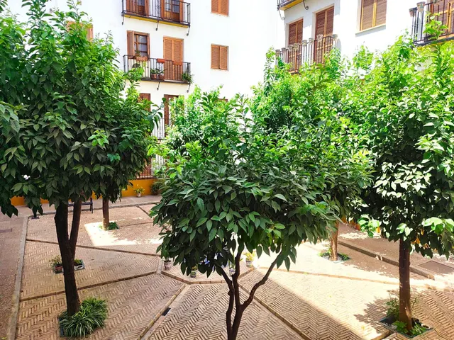 PISO SEÑORIAL EN EL ALTOZANO - foto 4