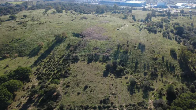 Terreno rústico de 5.343 m2 en venta en Palau-saverdera – na - foto 3