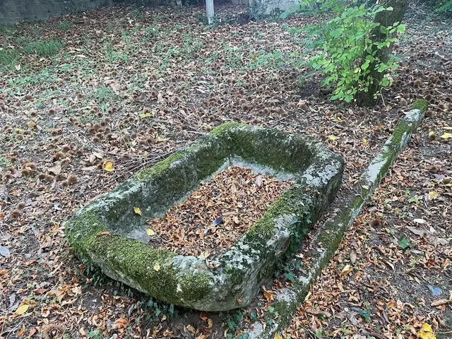 CASA SEÑORIAL DE 1807 CON FINCA DE 6.500M2. PERFECTA CASA RURAL — 44