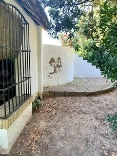 MARAVILLOSA ANTIGUA FINCA DE CACERIA EN LA JARA EN SANLUCAR  - foto 4