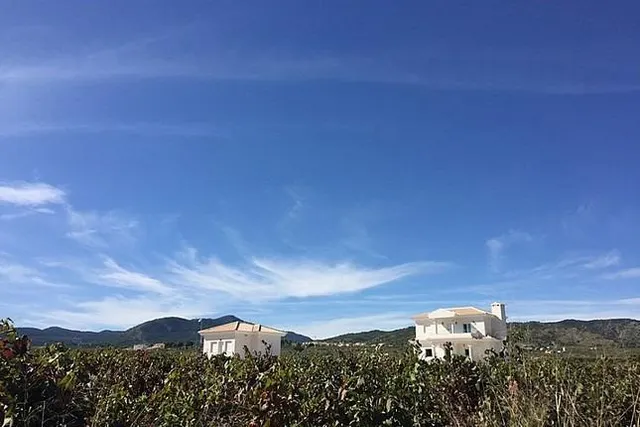 VILLAS DE OBRA NUEVA EN PINOSO — 22