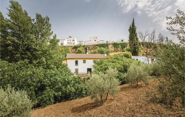 IMPRESIONANTE  FINCA RUSTICA MÁLAGA- RONDA — 9