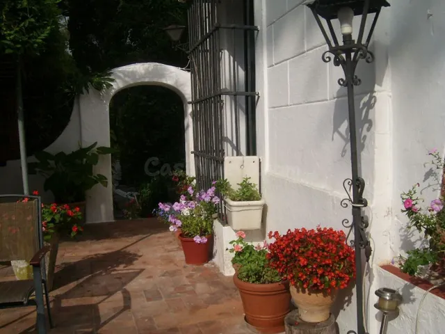 CASA SEÑORIAL EN PELAYO - foto 3