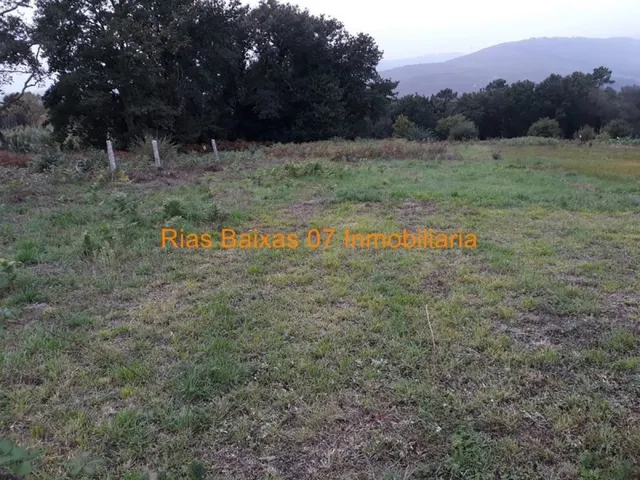 REF3102 SOLAR IDEAL DE 1100 M2 CENTRO TOMIÑO — 4