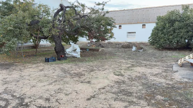 Amplio Terreno Urbano en Cartaya - Oportunidad Única — 4